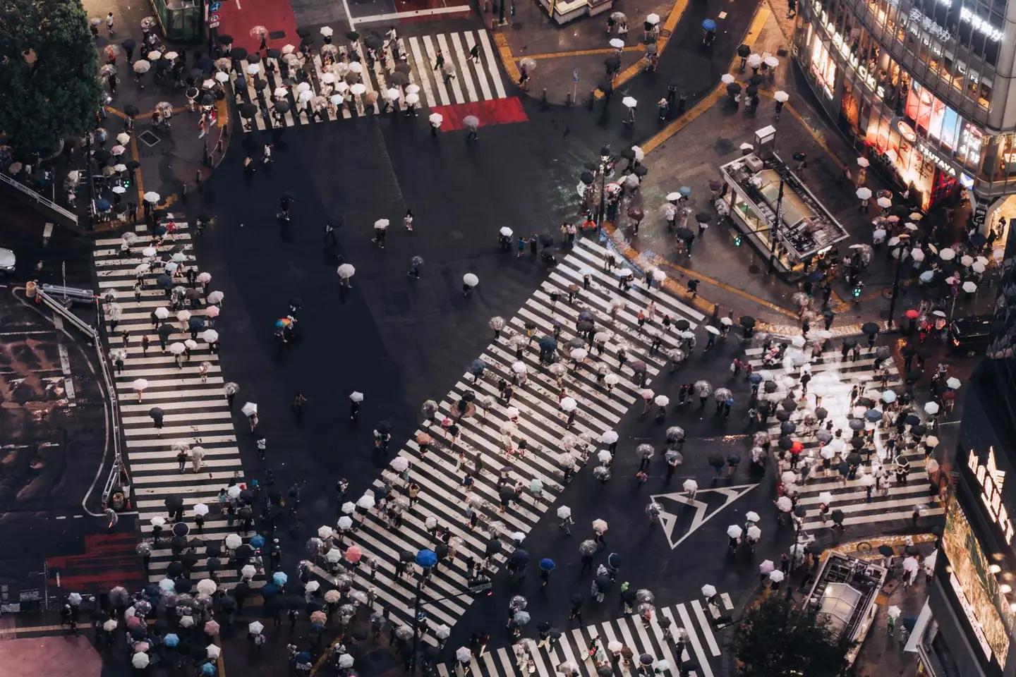 Shibuya Crossing
